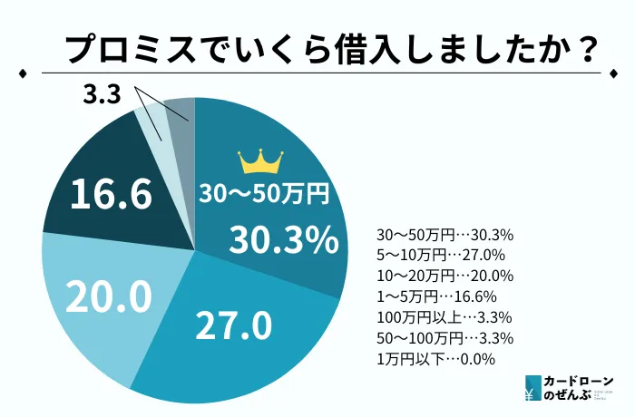 お金ない プロミス