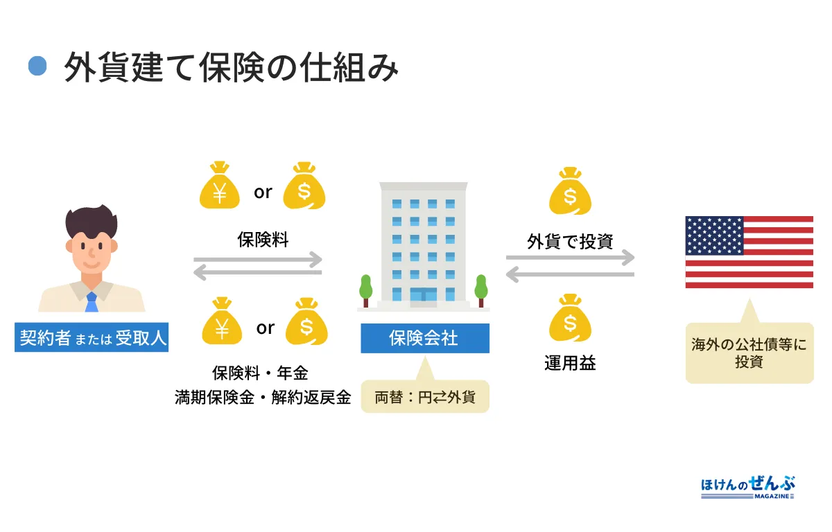 ドル建て保険の仕組み