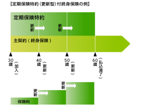 定期保険付終身保険とは