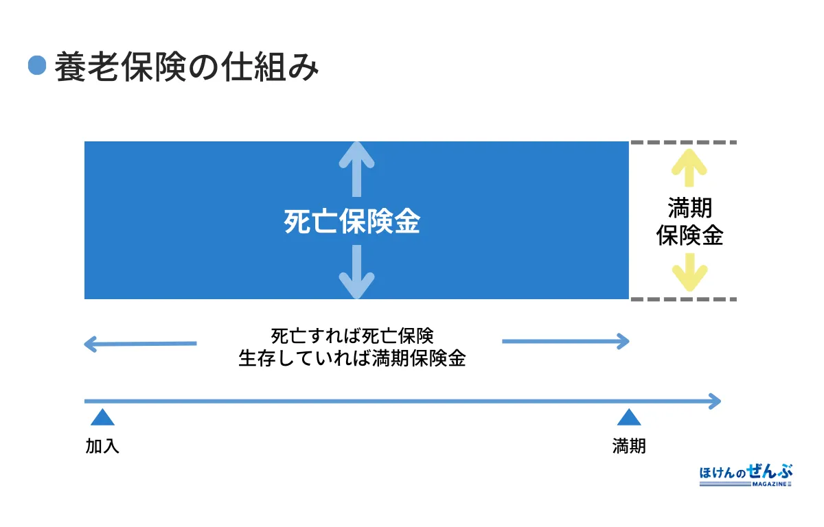 養老保険の仕組み