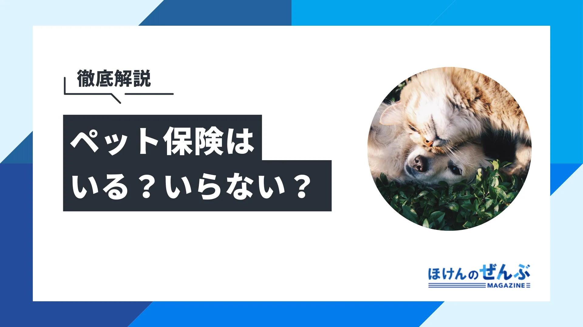ペット保険はいらない？犬と猫の治療費から必要性を解説